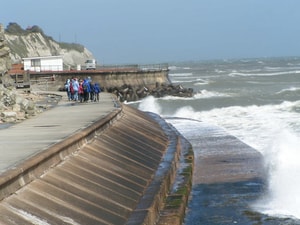 north carolina seawall ban