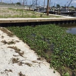 Port of Terrebonne, Houma, LA