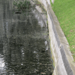 https://everlastseawalls.com/app/uploads/2018/11/birds-on-crumbling-seawall-orlando-florida-hospital.png