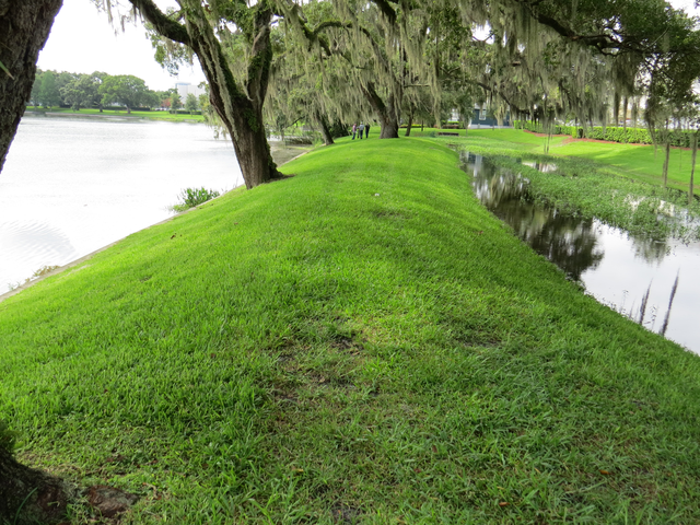 drainage issues needed addressing florida hospital