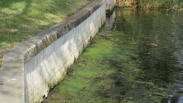 friable hazardous materials crumbling wall waterway orlando fl