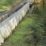 friable hazardous materials crumbling wall waterway orlando fl
