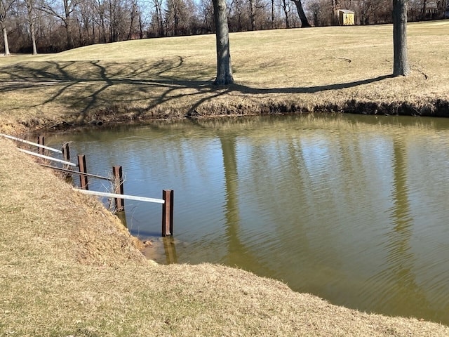 before_vinyl piling golf course lakewall_Clovernook Bridge_Cincinnati OH_ESP